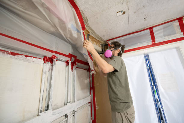 Best Environmental Consulting for Mold Prevention  in North Fair Oaks, CA
