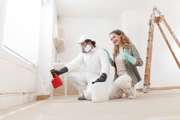 Forensic Mold Investigation in North Fair Oaks, CA